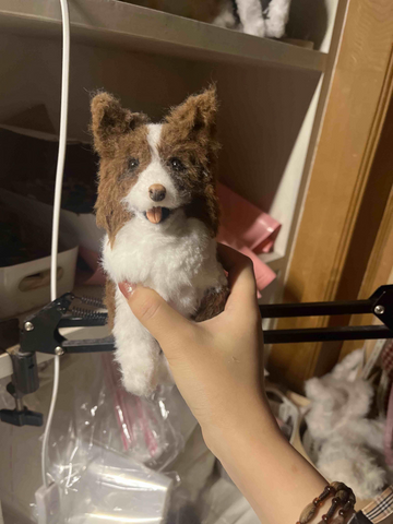 Border Collie Pipe Cleaner Diy Dog